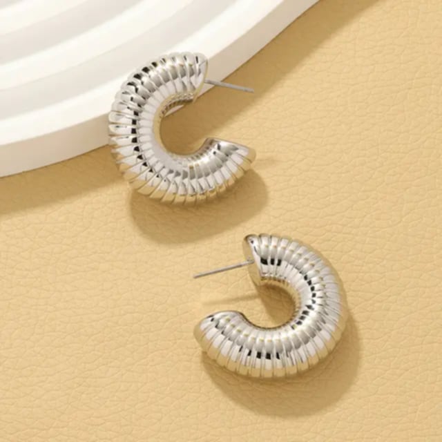 Arete caterpila plateado